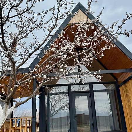 Coral Houses Tossor Eksteriør bilde